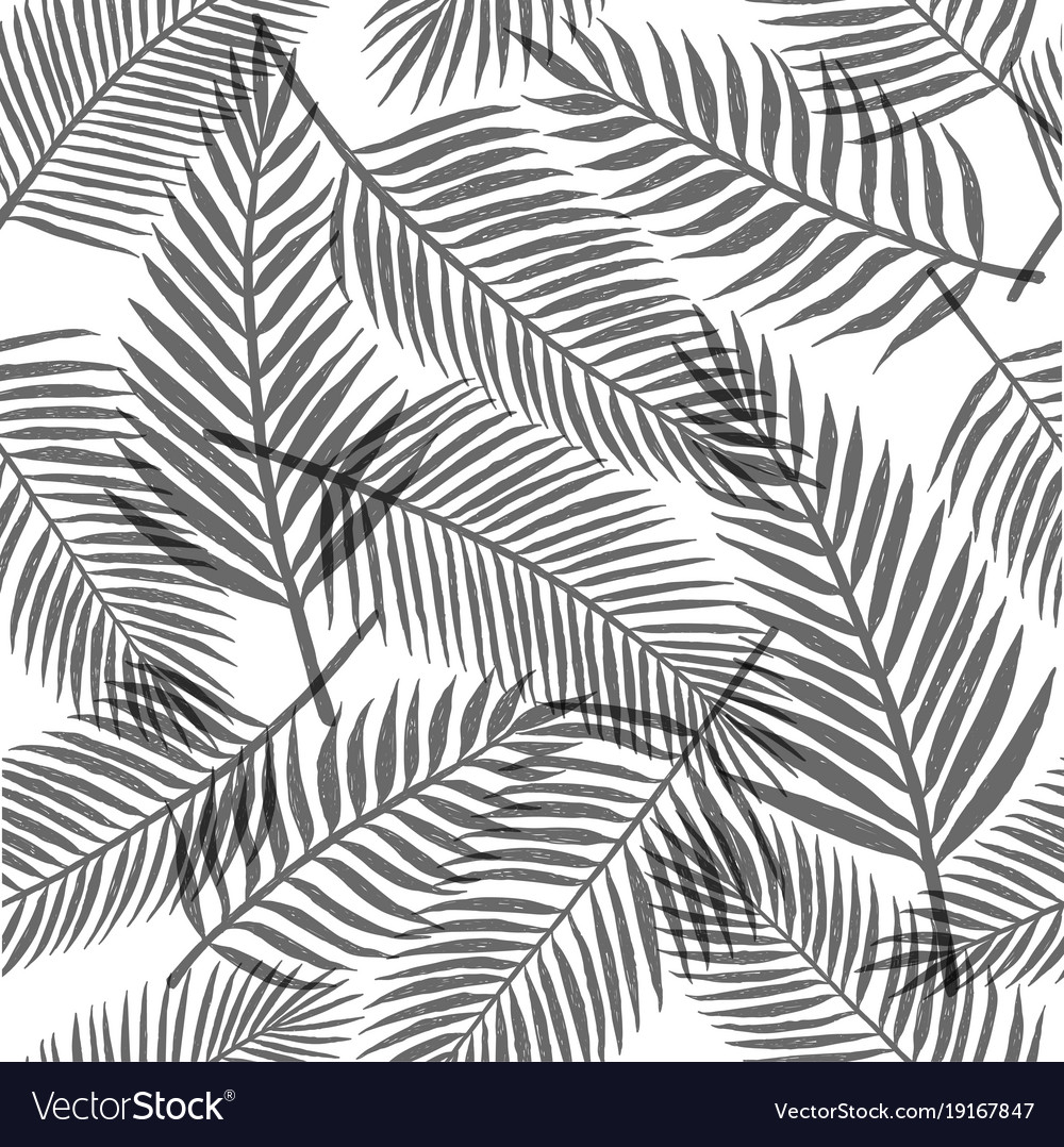 Black and white tropical leaves background Vector Image