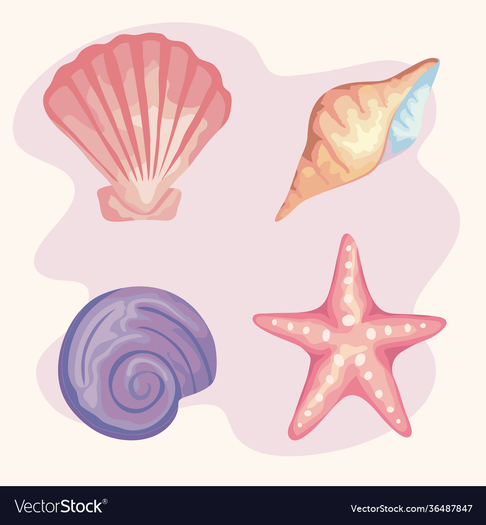 Bundle four sea shells colors set icons