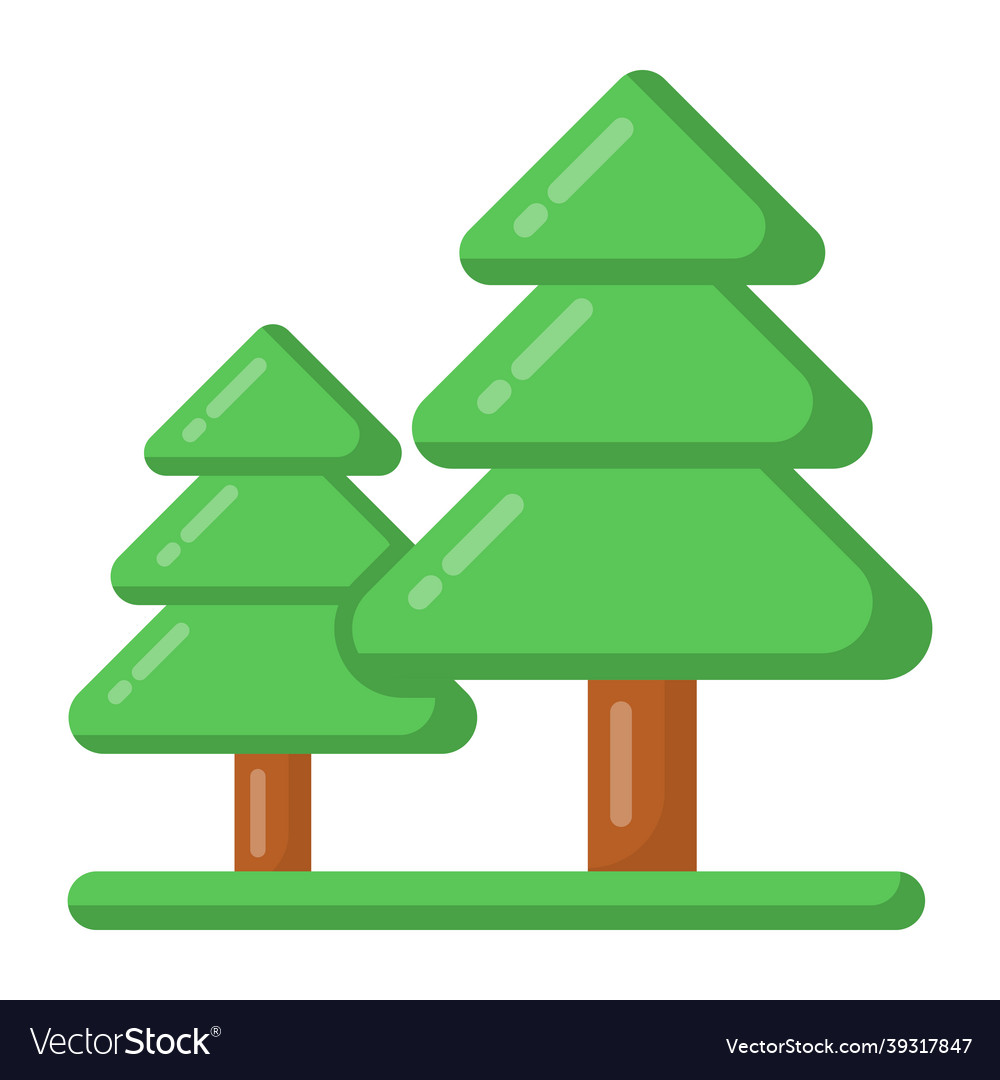 Conifer trees Royalty Free Vector Image - VectorStock