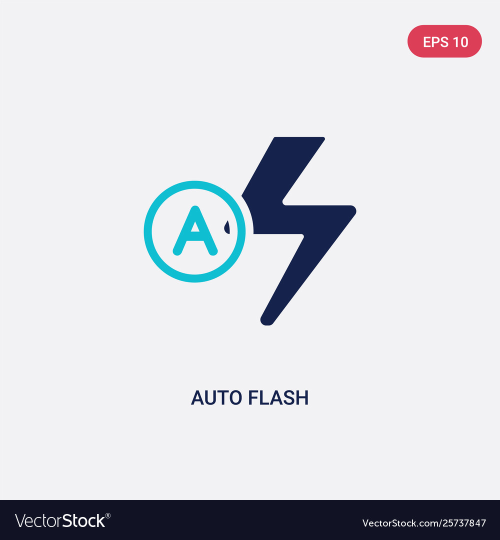 Two color auto flash icon from electronic stuff Vector Image