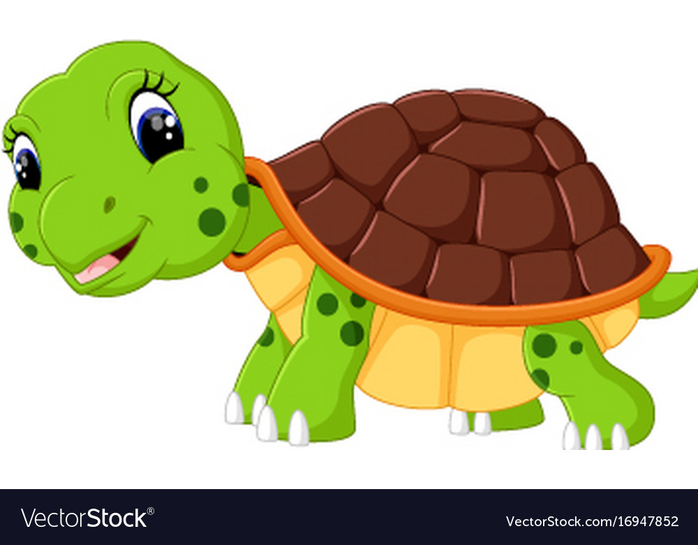 Cute cartoon turtle Royalty Free Vector Image - VectorStock