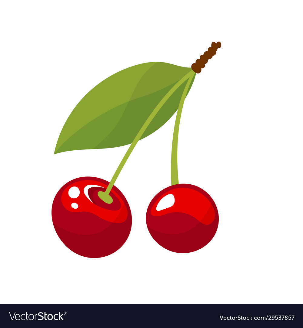 Cherries - pair Royalty Free Vector Image - VectorStock