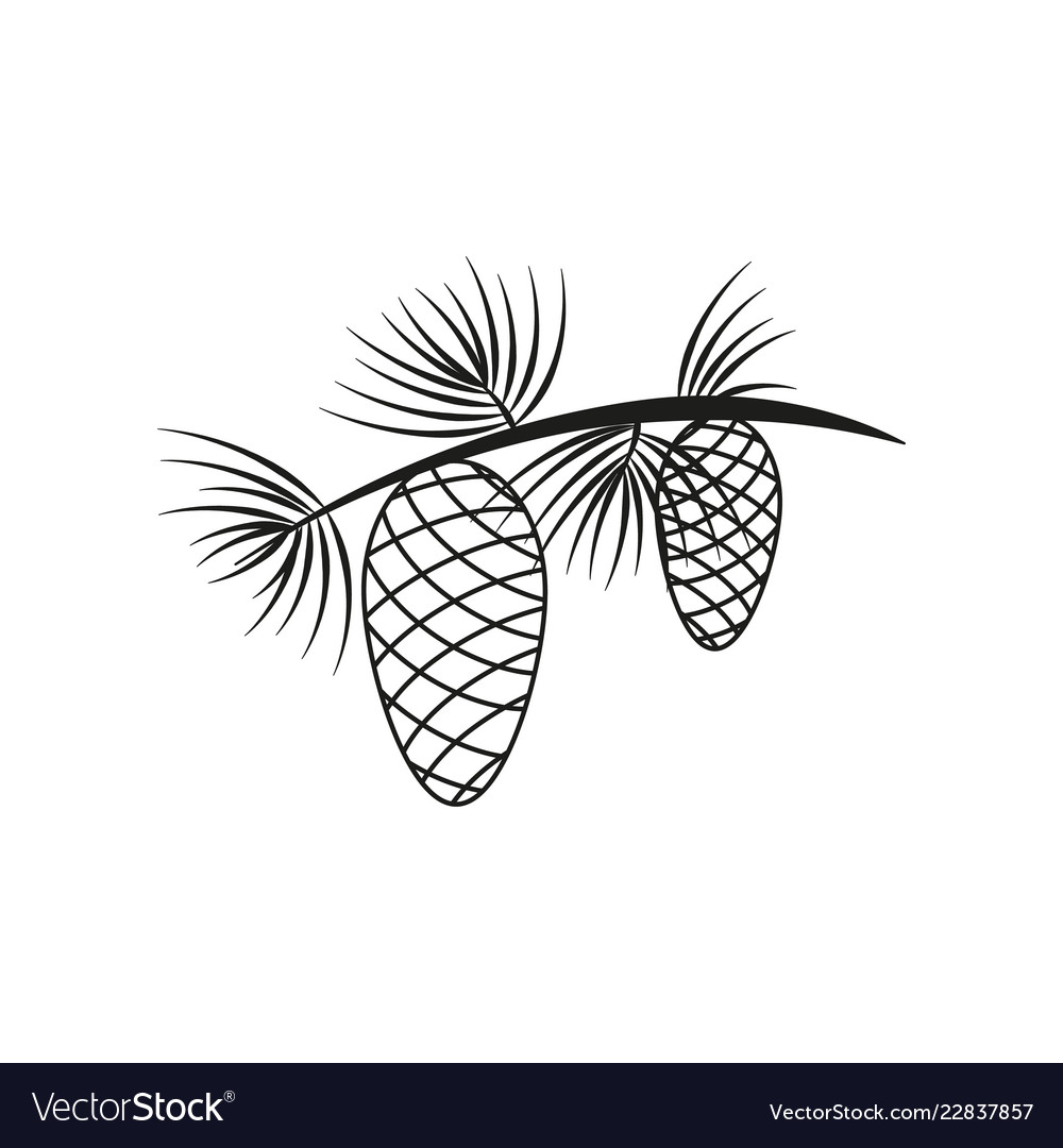 Pine Tree with Cone Icon