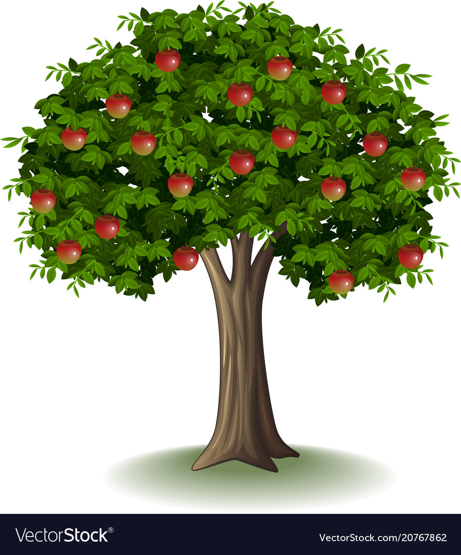Red Apple on Tree Branch