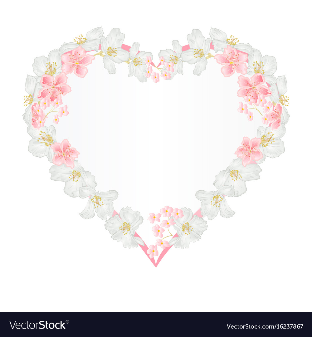 Floral frame heart with jasmine and sakura Vector Image