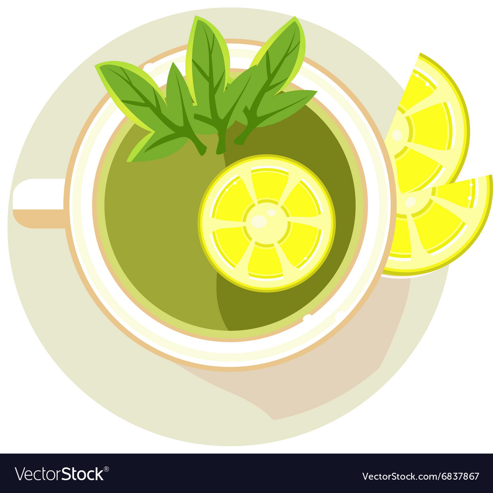 Green tea with sliced lemon Royalty Free Vector Image