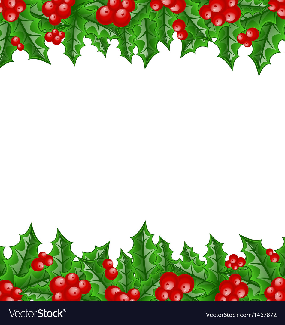 Christmas decoration holly berry branches Vector Image