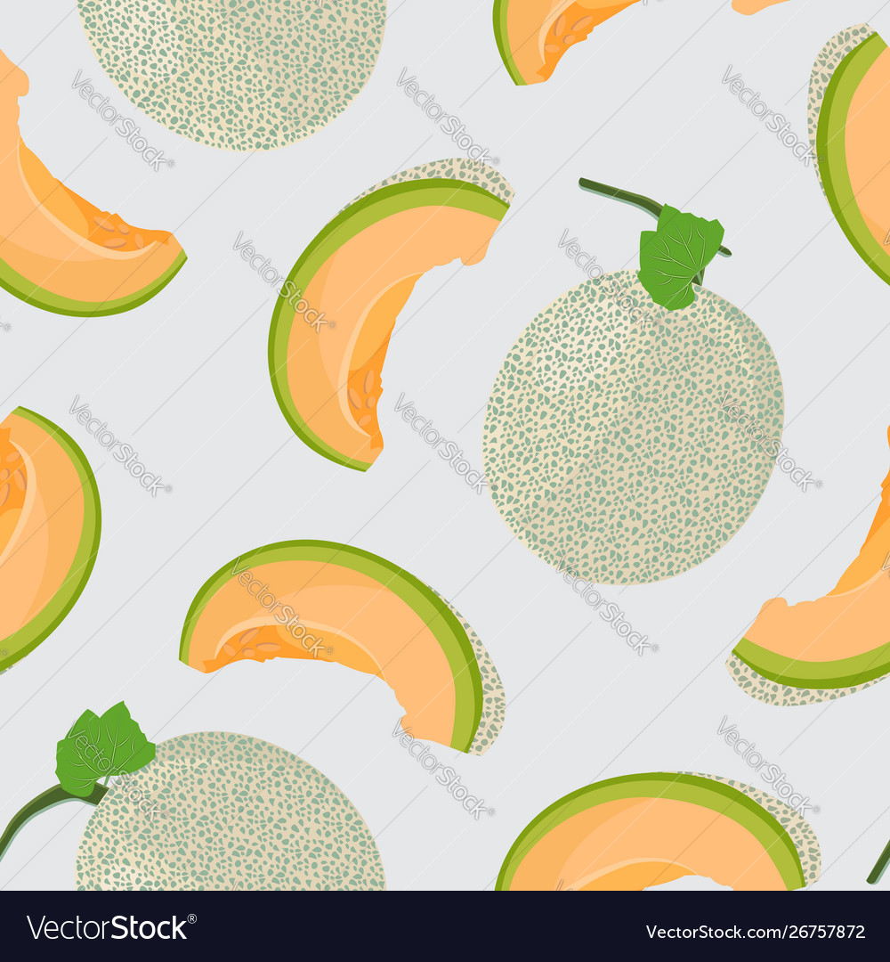 Melon Slice Pattern - Gray Background