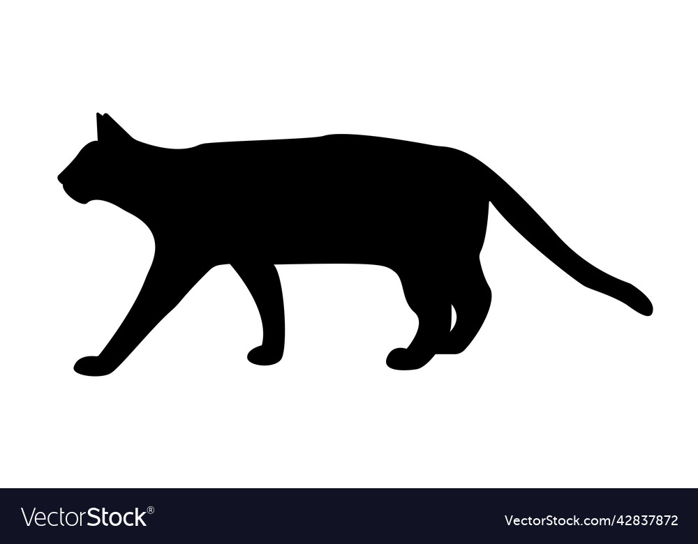 Print vector image Print