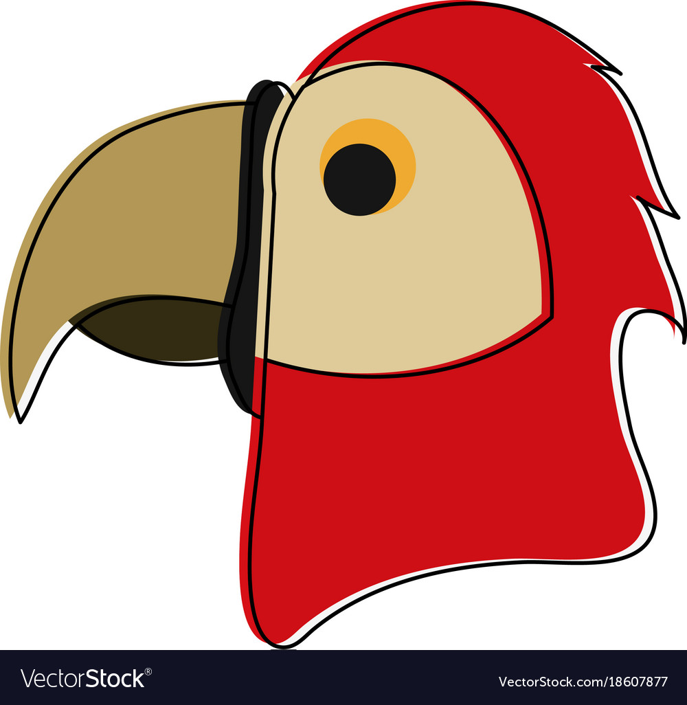 Parrot head cartoon Royalty Free Vector Image - VectorStock