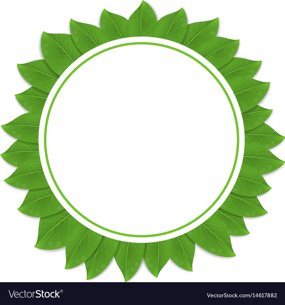 Download Round green frame with leaves Royalty Free Vector Image