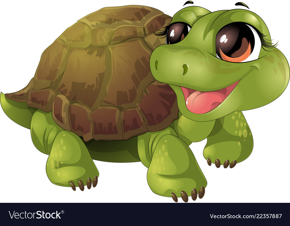 Beautiful cute turtler Royalty Free Vector Image