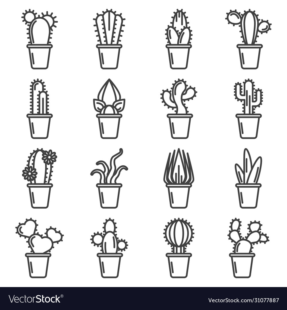 Cactus icons set a simple linear image various vector image Cactus icons set a simple linear image various
