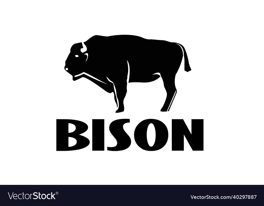 European powerful strong animal bison