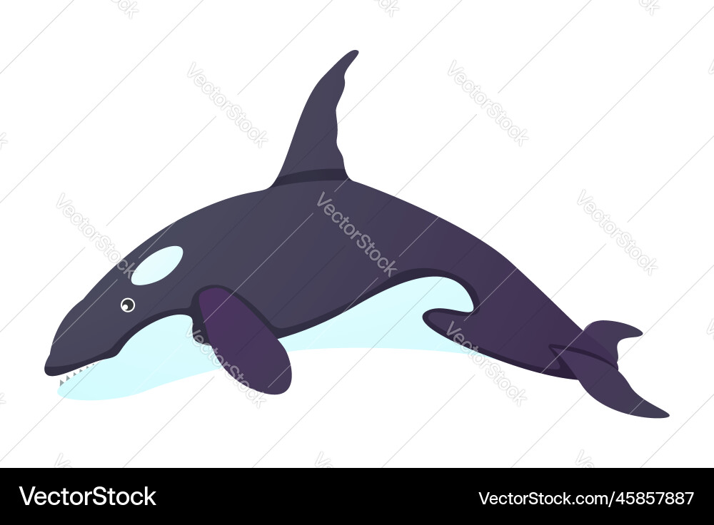 Killer whale cartoon character Royalty Free Vector Image