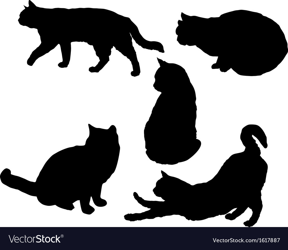 Posing cats Royalty Free Vector Image - VectorStock