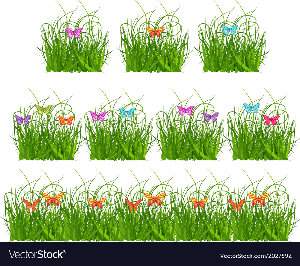 Collection grass and butterflies Royalty Free Vector Image