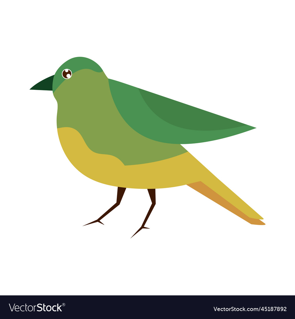 Green bird animal