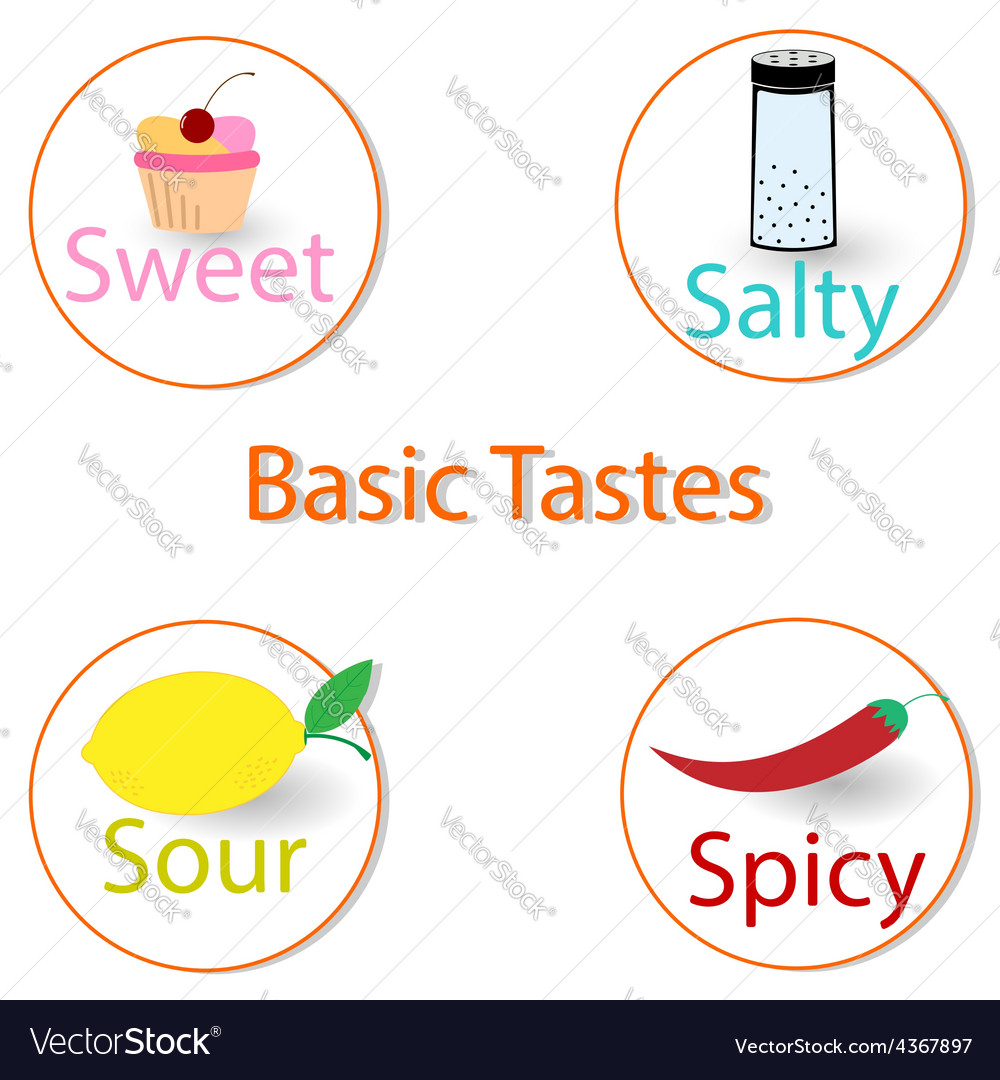 Basic Tastes Infographics Royalty Free Vector Image