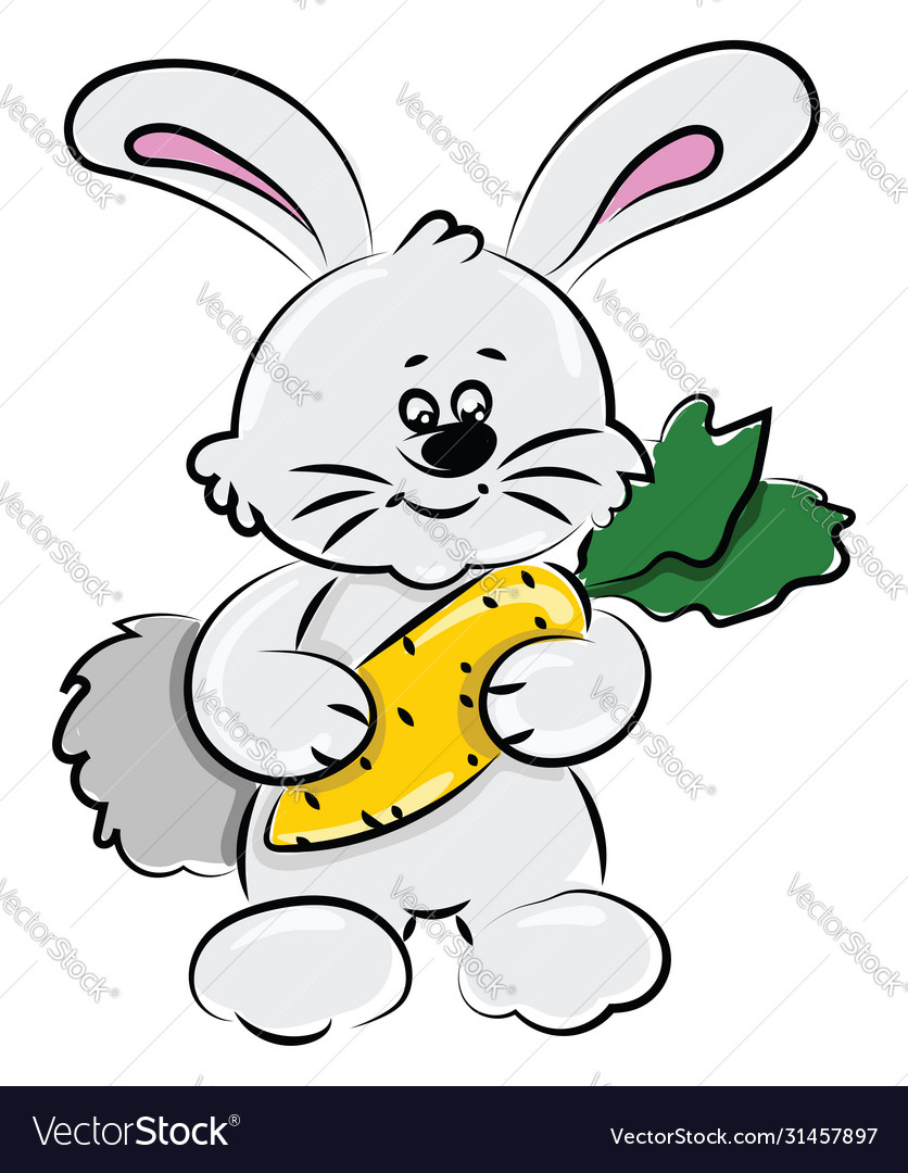 Bunny with carrot on white background