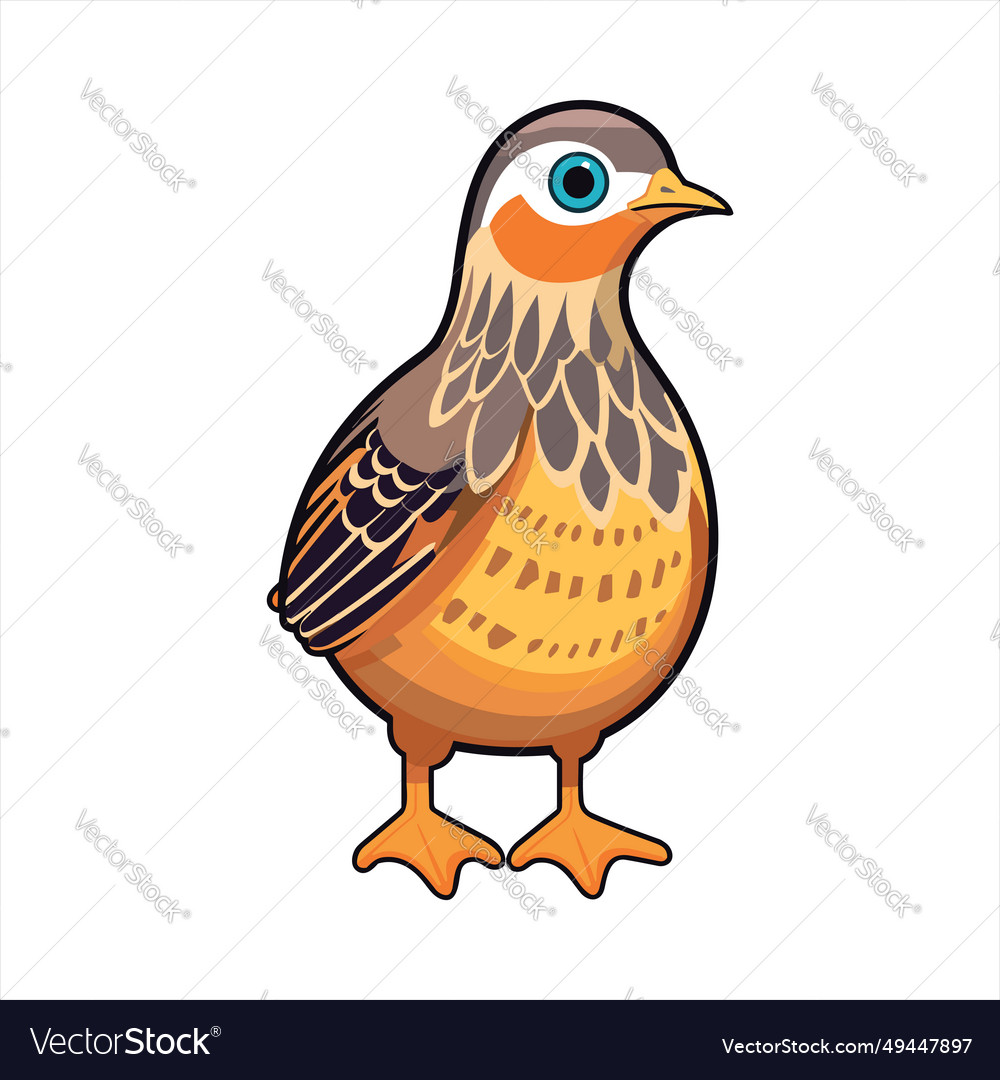 Partridge cute funny cartoon kawaii clipart