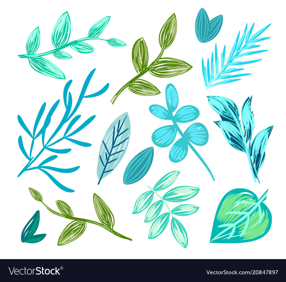 Set of floral patterns poster