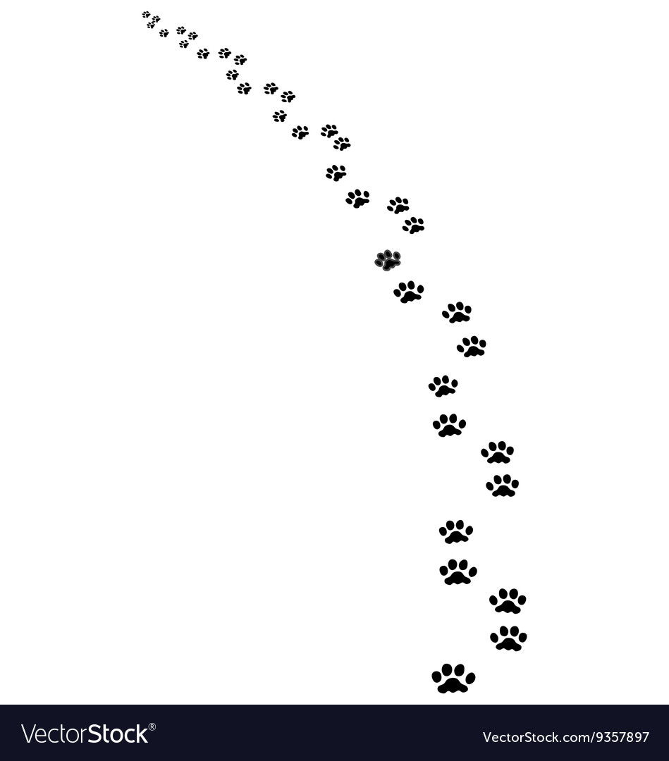 Trail dog Royalty Free Vector Image - VectorStock