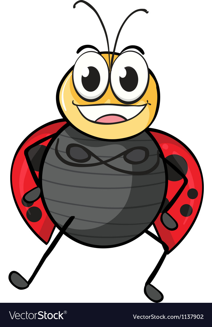 A ladybug Royalty Free Vector Image - VectorStock