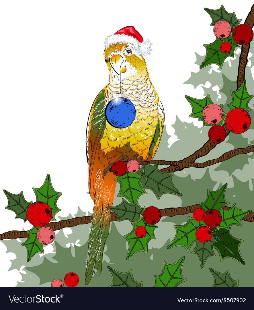 Festive parrot background