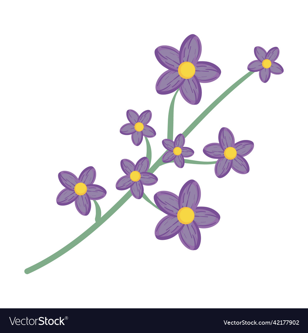 Purple orchids Royalty Free Vector Image - VectorStock