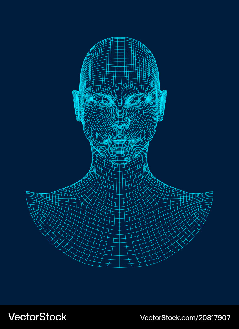 3d head wireframe drawing Royalty Free Vector Image