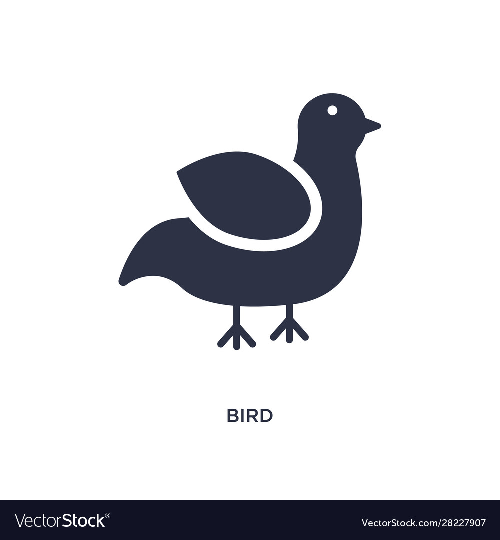 Bird icon on white background simple element from