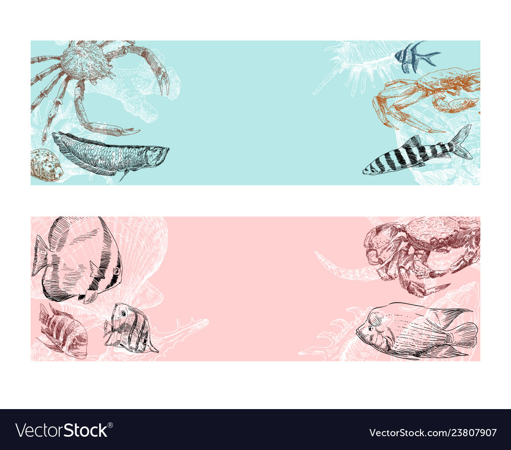 Seafood Fish Corals And Seashells Banner Vector Image