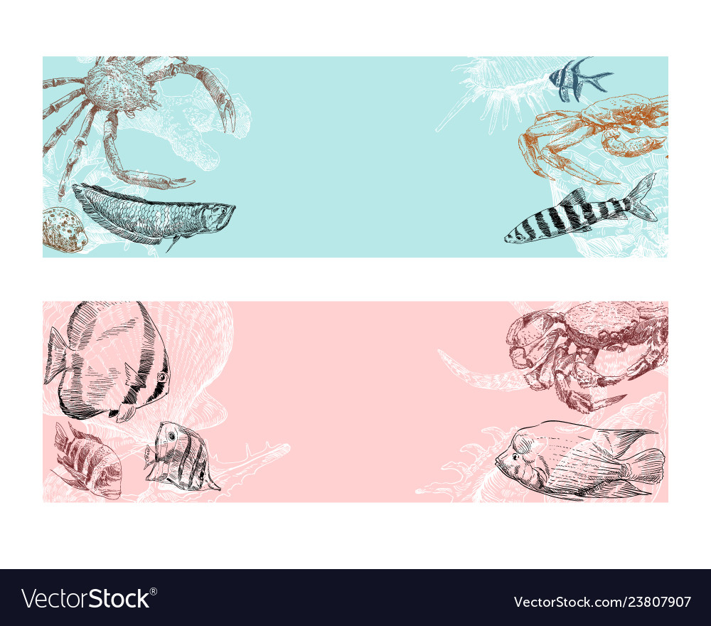 Seafood fish corals and seashells banner