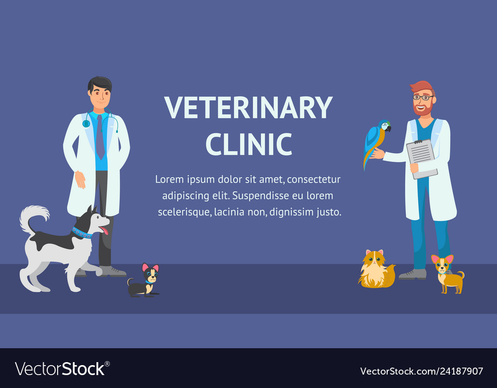 Banner veterinary sale clinic