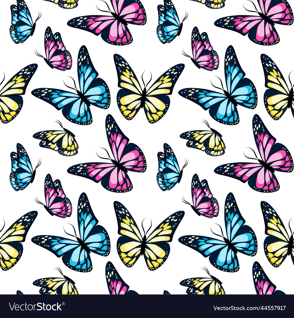 Colorful Butterfly Pattern