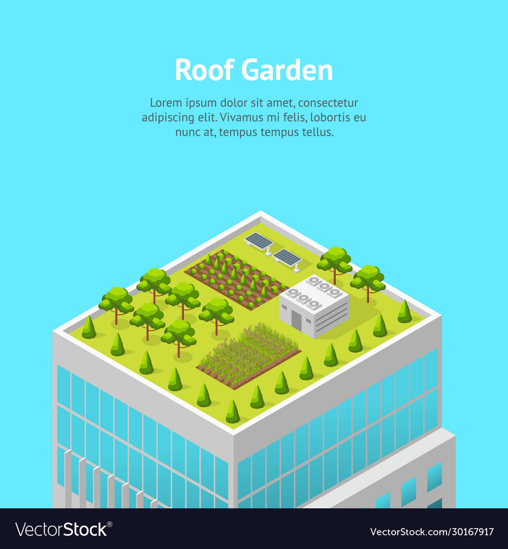 Garden on the roof concept card ad 3d isometric Vector Image