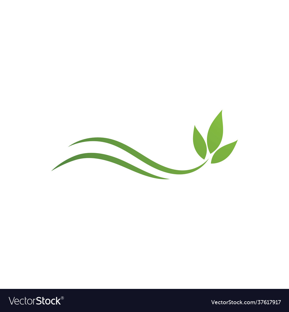 Green leaf Royalty Free Vector Image - VectorStock