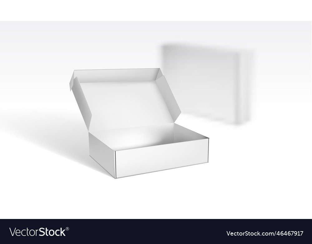 Realistic open and closed blank packaging boxes Vector Image