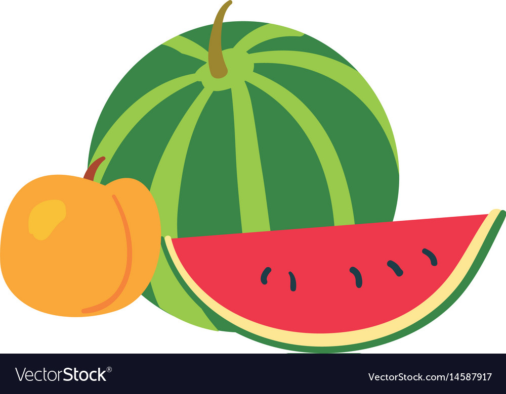 Watermelon and peach on white background