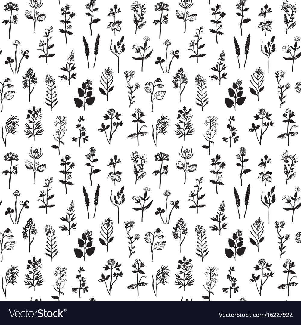 Botanical Seamless Pattern