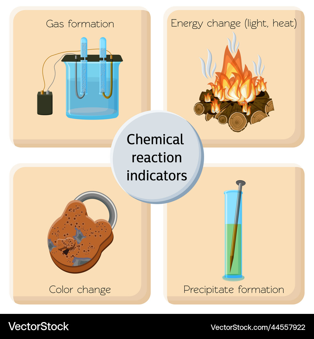 Chemical reaction indicators infographics Vector Image