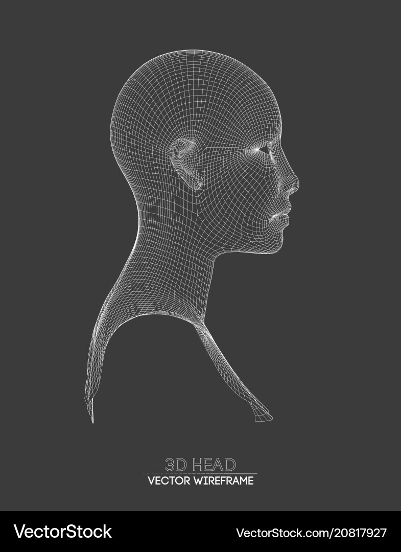 3d head wireframe drawing Royalty Free Vector Image