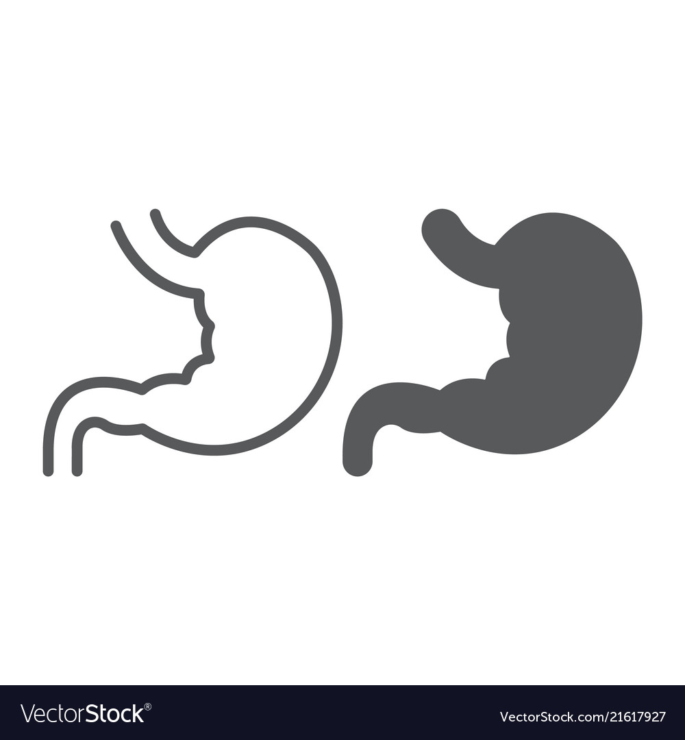 Stomach line and glyph icon anatomy biology Vector Image