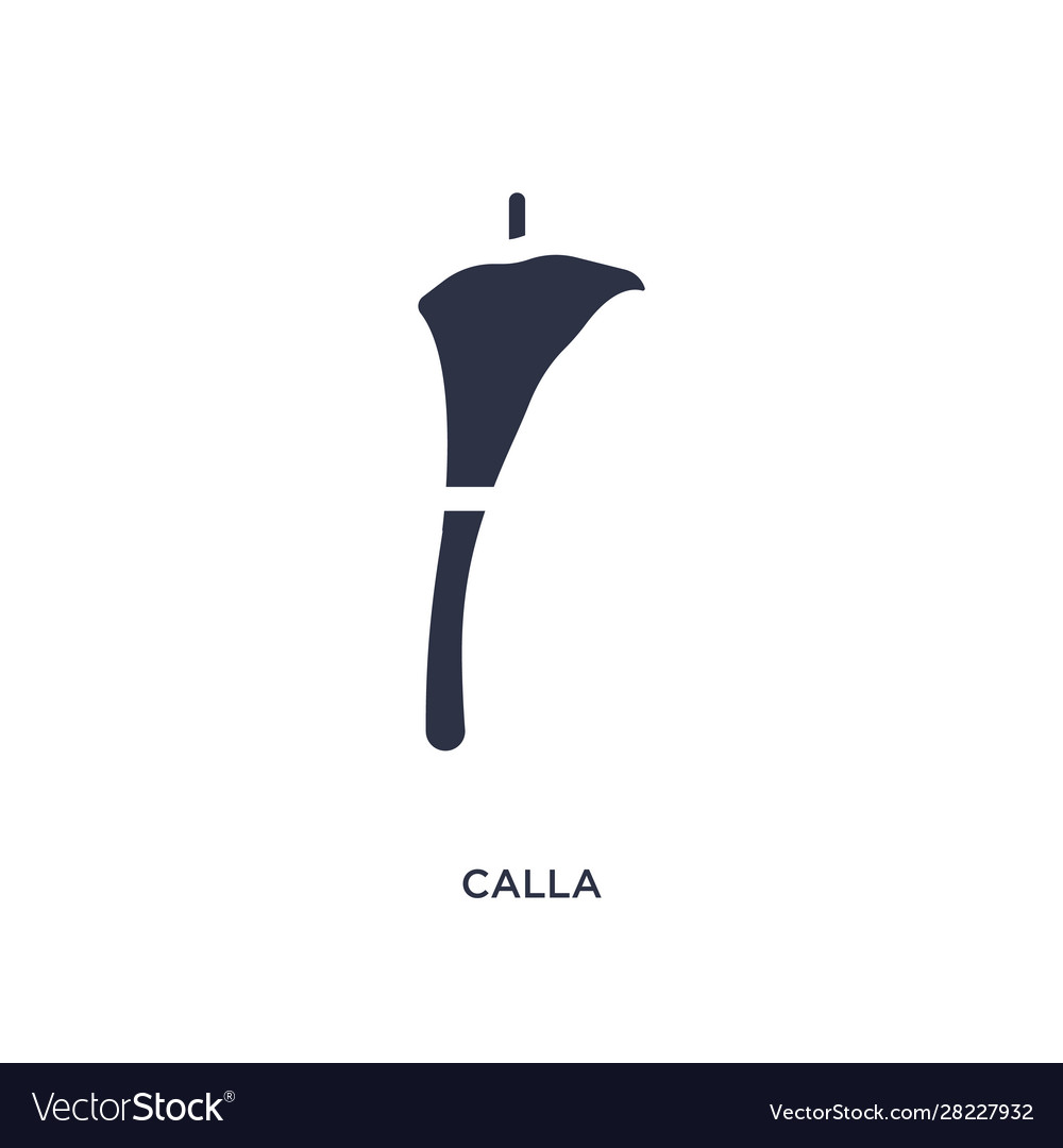 Calla icon on white background simple element Vector Image Calla icon on white background simple element