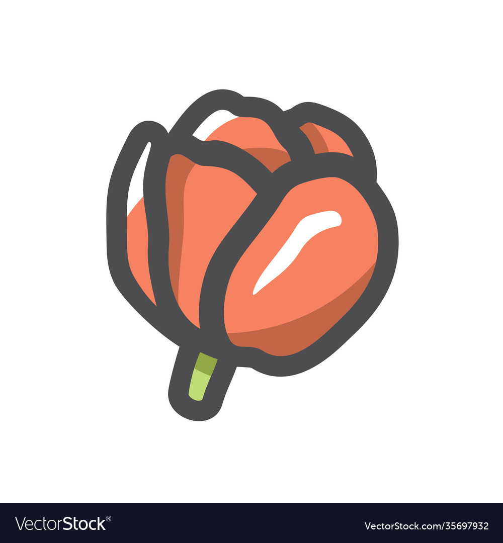 Flower tulip blossom icon cartoon vector image Flower tulip blossom icon cartoon