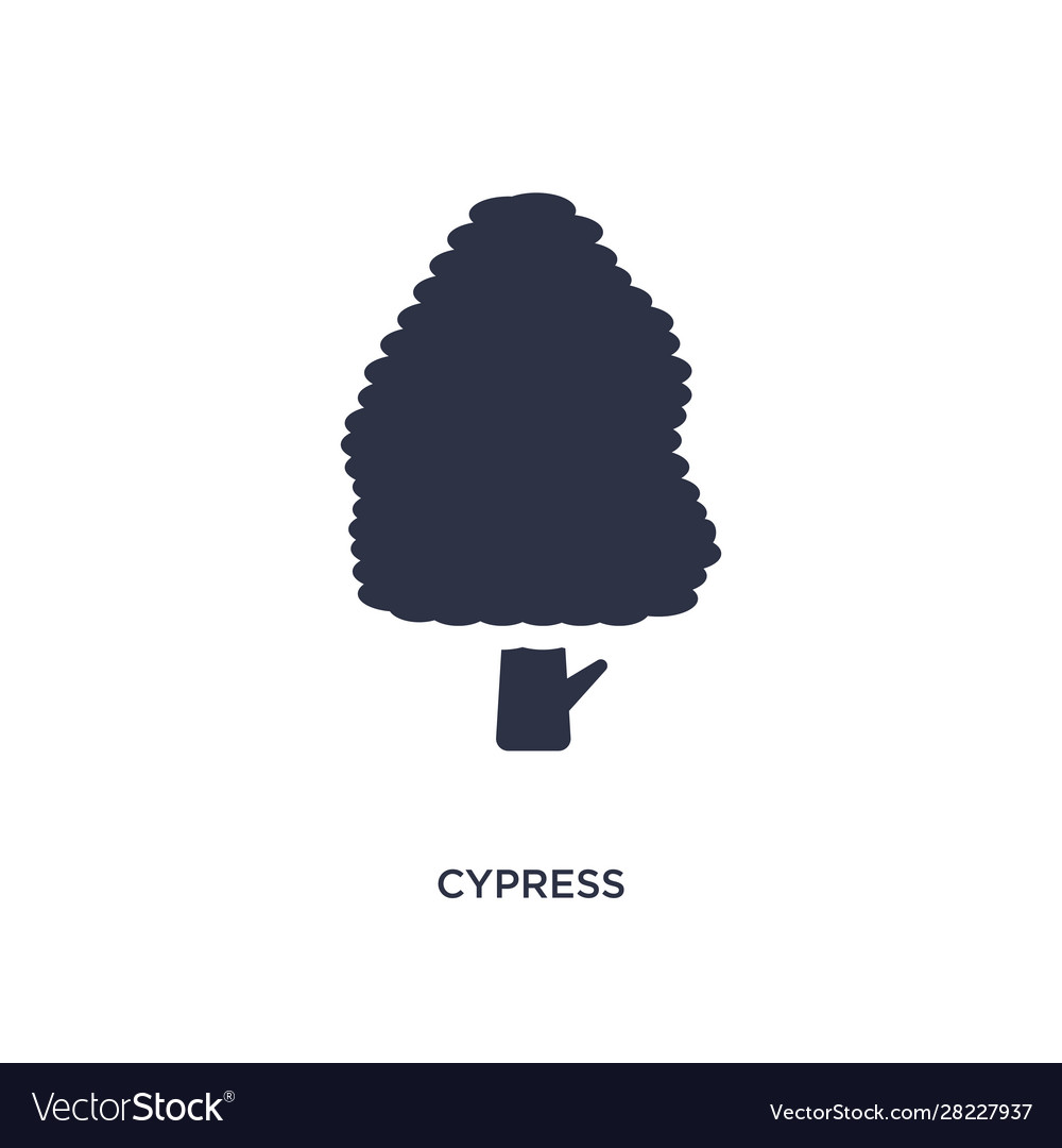 Cypress icon on white background simple element