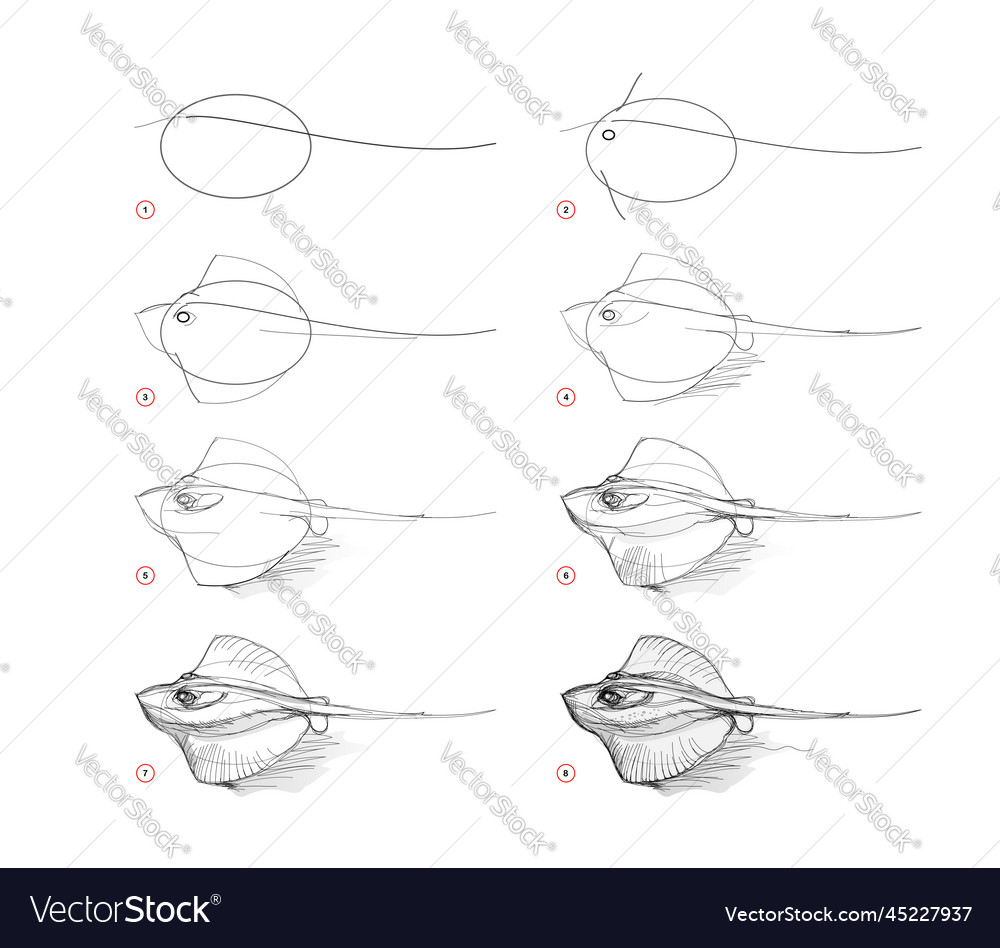 Page shows how to learn draw sketch vector image Page shows how to learn draw sketch