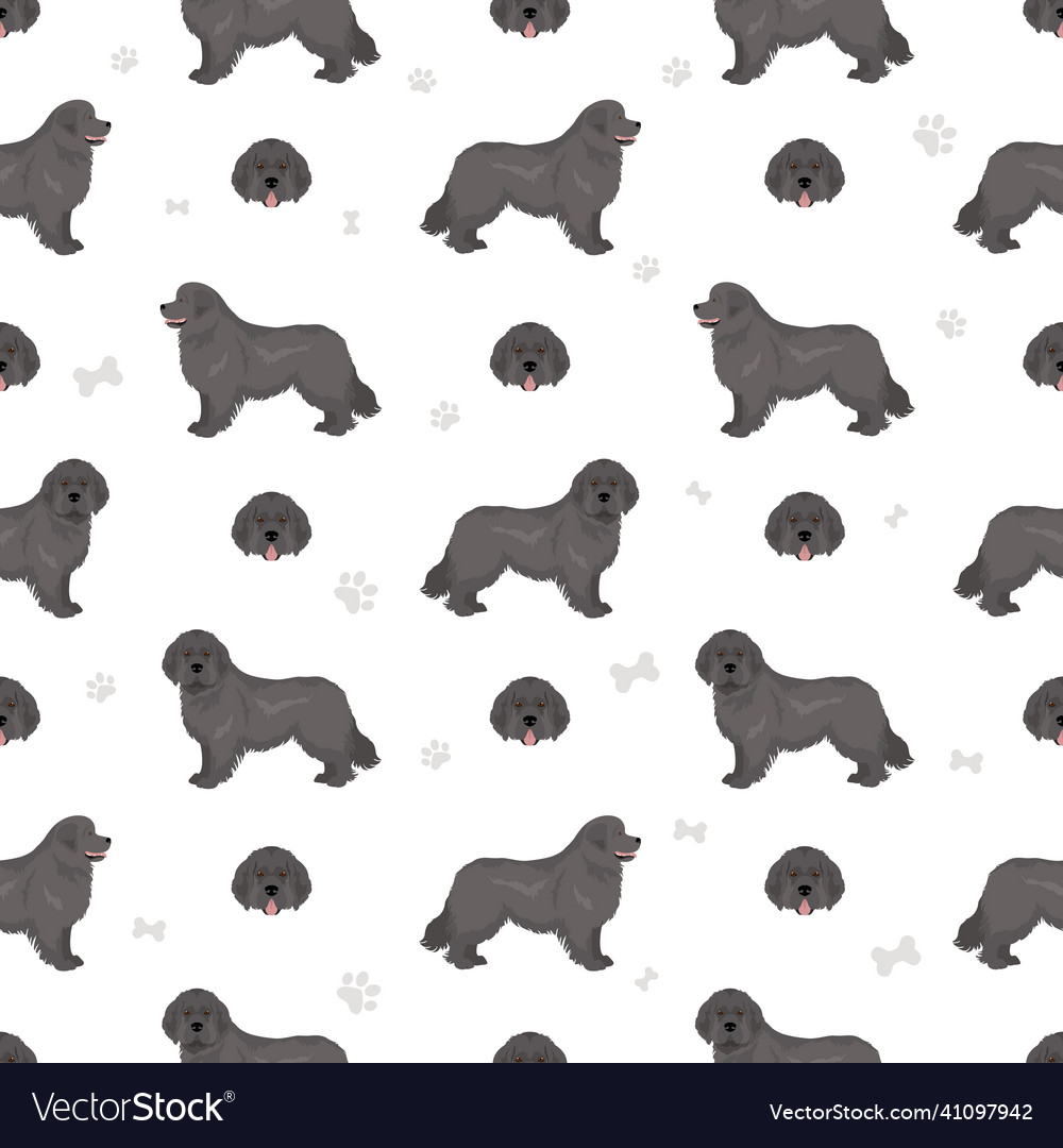 Newfoundland seamless pattern different poses