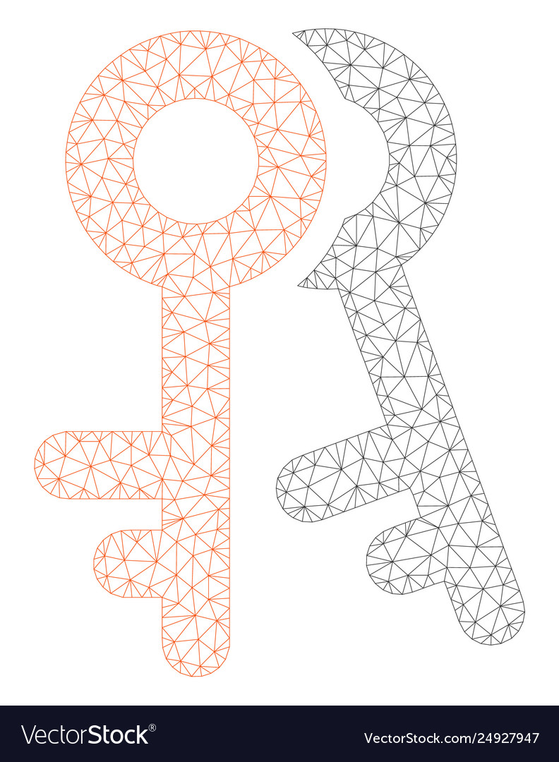 Access keys polygonal frame mesh vector image Access keys polygonal frame mesh